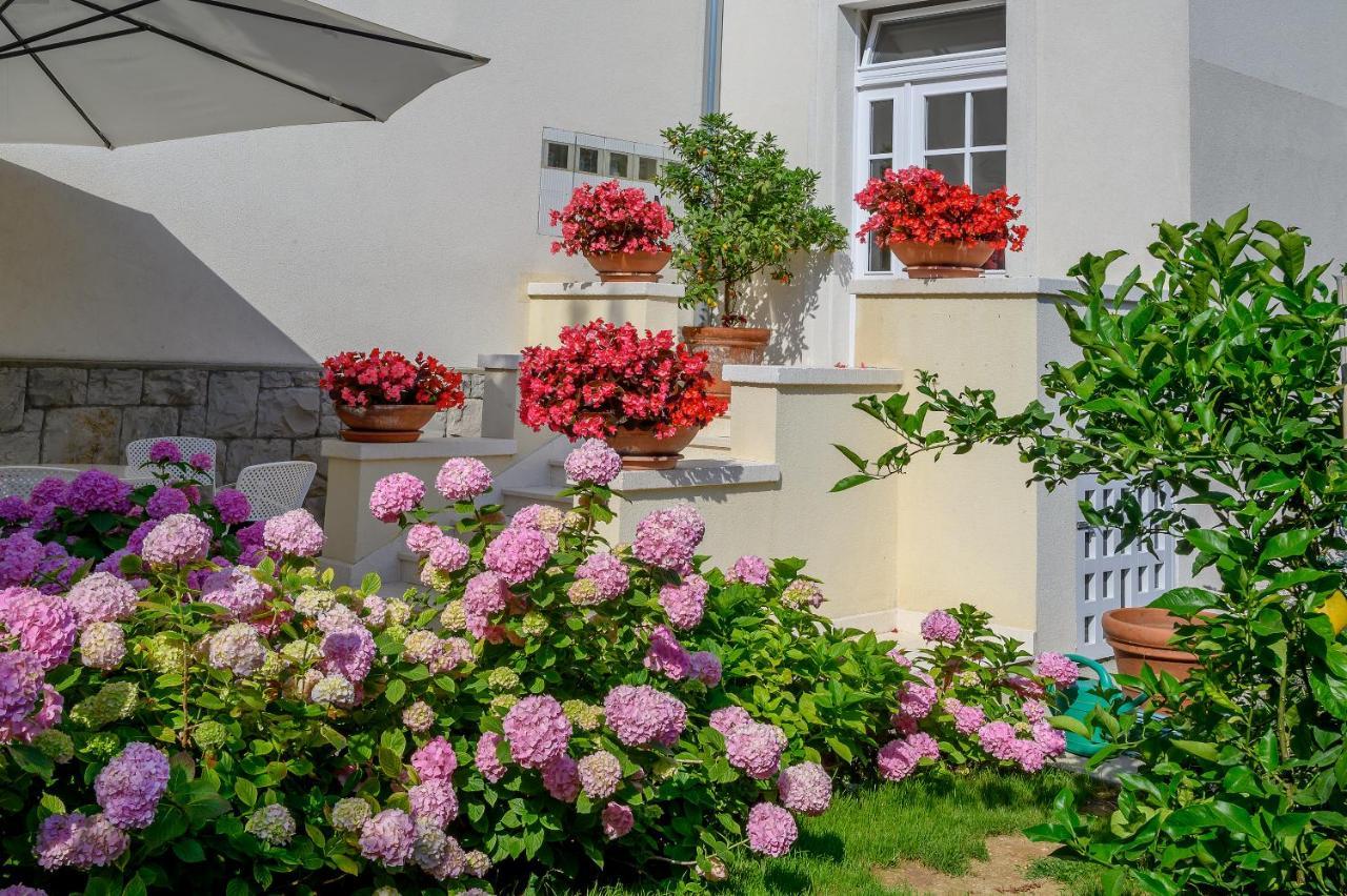 Palace Schoen Milesi - Esense Of Prestige - Private Pool - Free Parking - Old Money Style Luxury Rooms - Walking Distance To The Old Town, The Beach And All Amenities - Buralux Properties Сплит Екстериор снимка